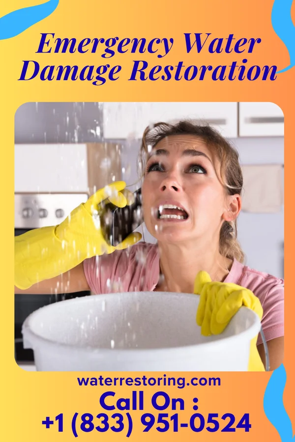Emergency Water Damage Restoration in Algona, IA