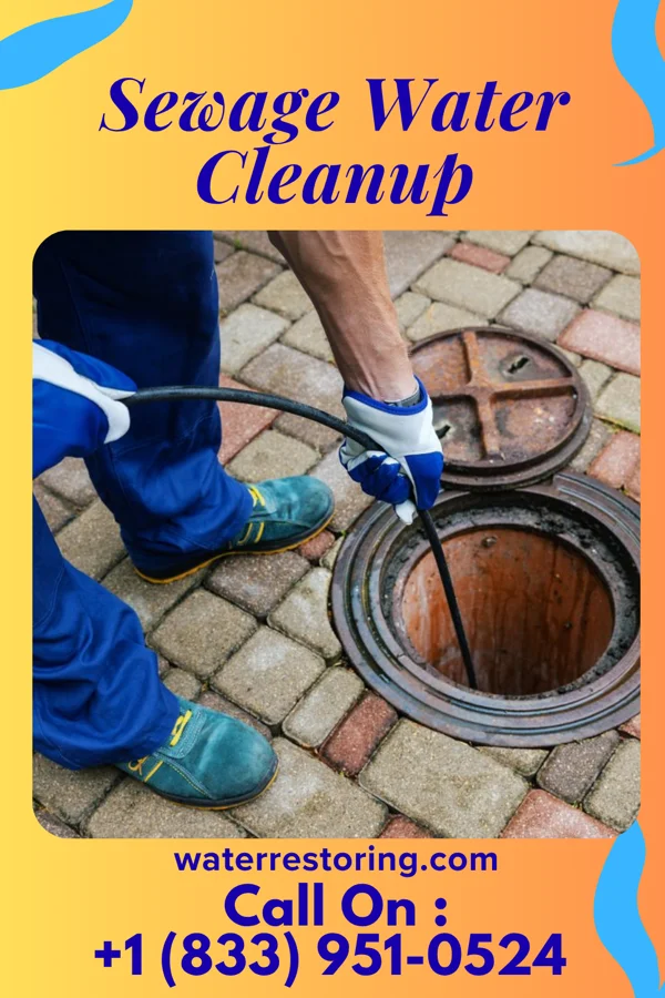 Sewage Water Cleanup in Algona, IA